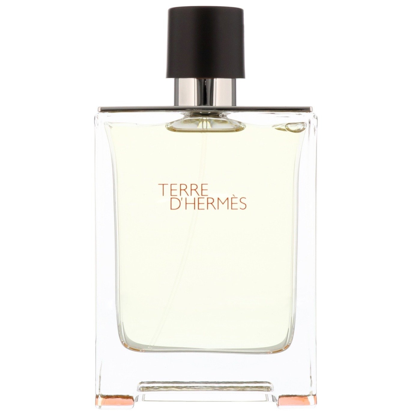Hermes Terre D'Hermes Eau de Toilette Spray - 100ml