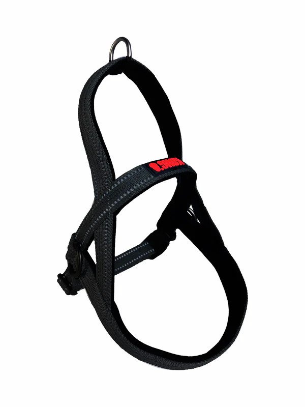KONG Norwegian Dog Collar Harness - Black