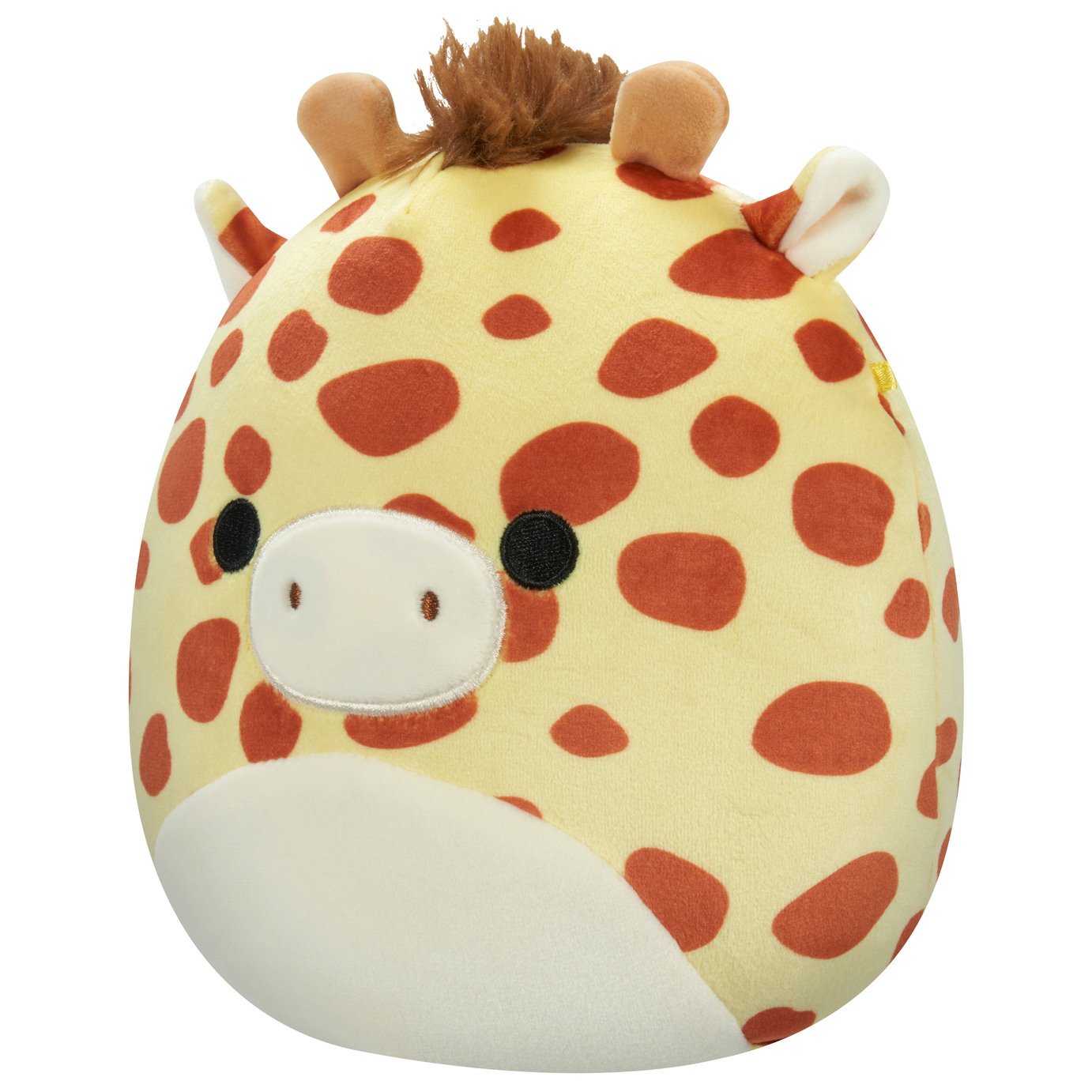 Squishmallows Gary 19 cm Plush