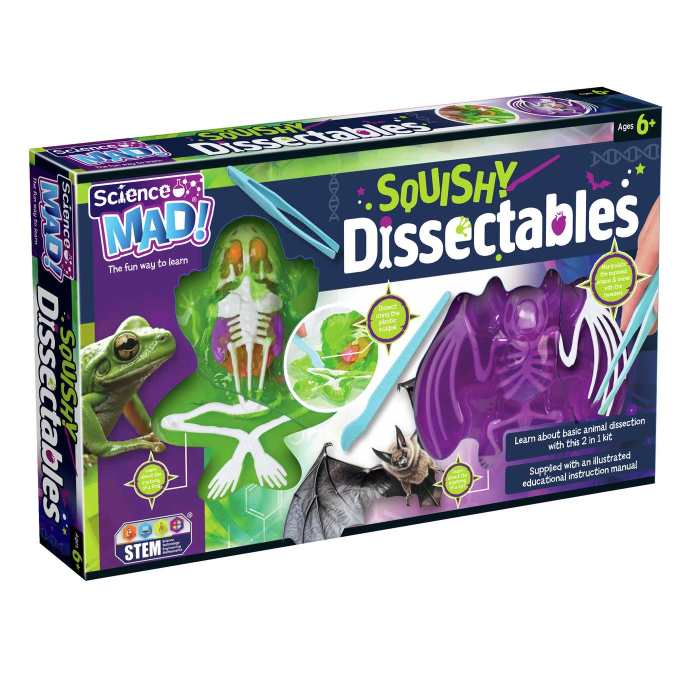 Science Mad Squishy Dissection Kit 