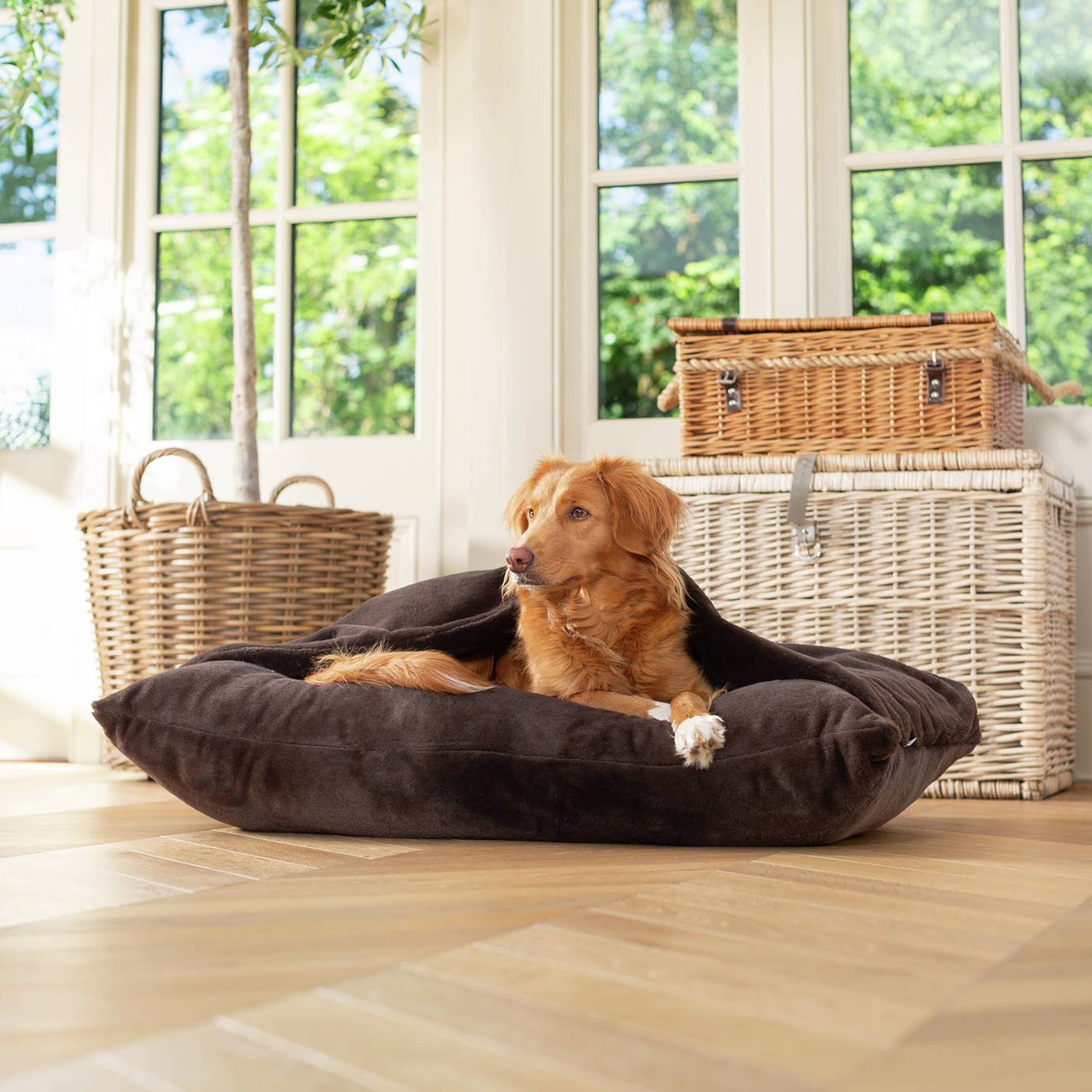 Lords & Labradors Sleepy Burrows Dusk - Medium