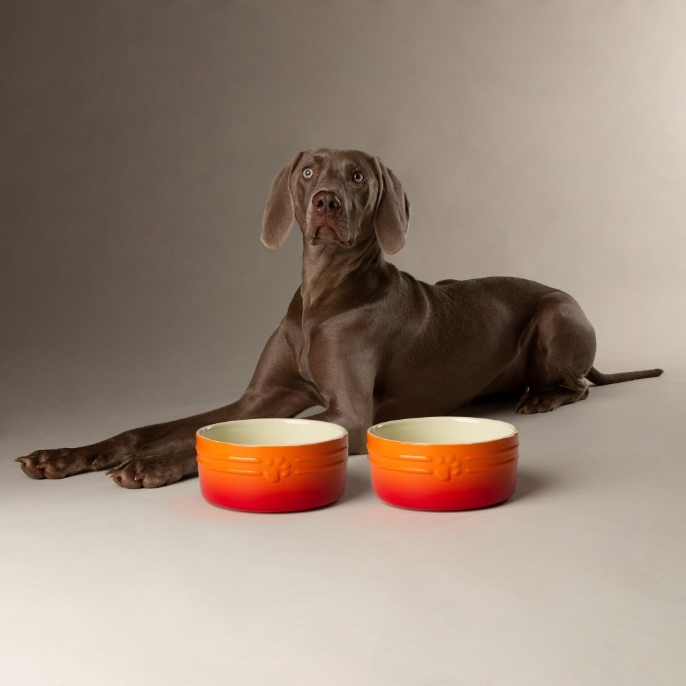 Scruffs Ceramic Dog Food and Water Bowl Set - Large