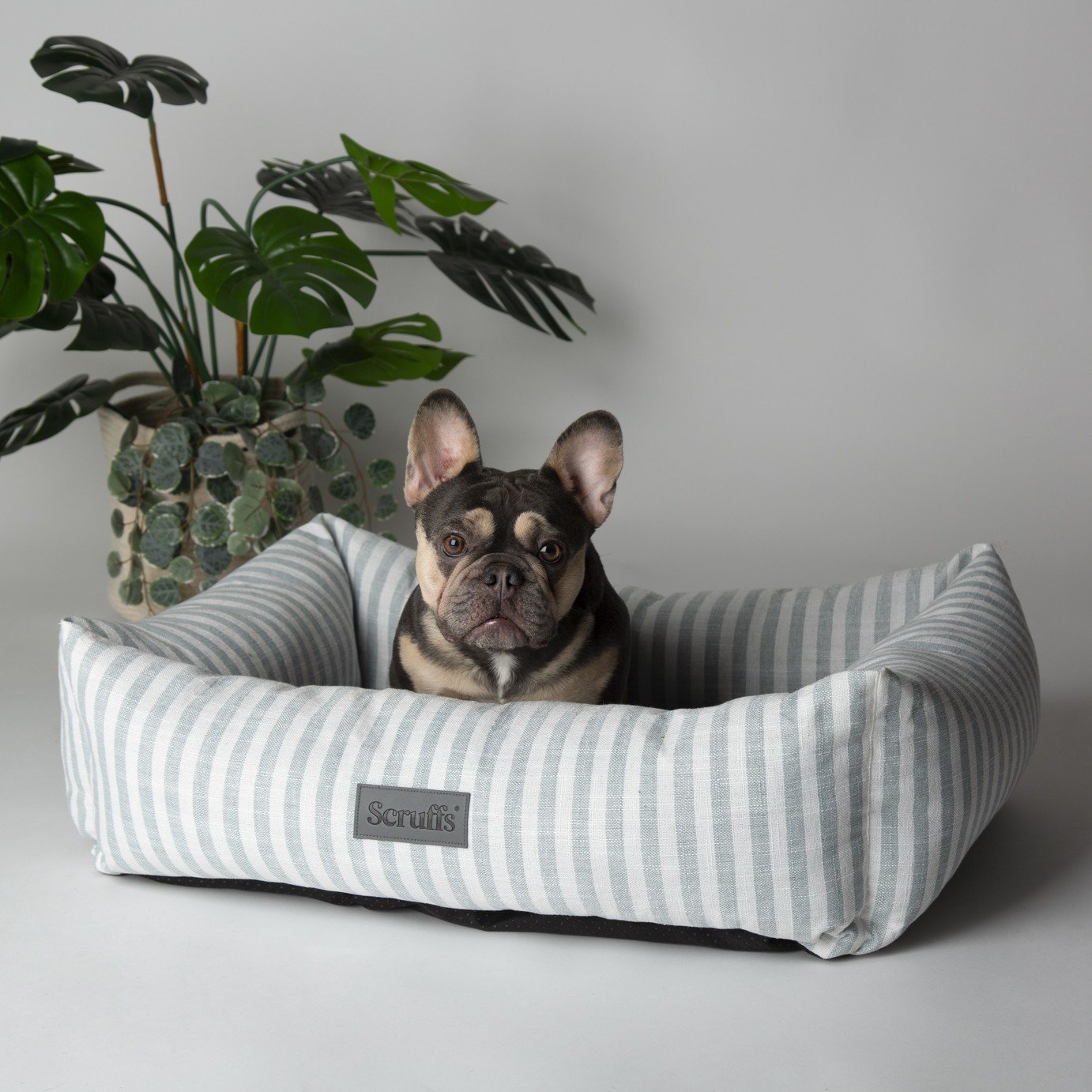 Scruffs Coastal Box Bed - Large