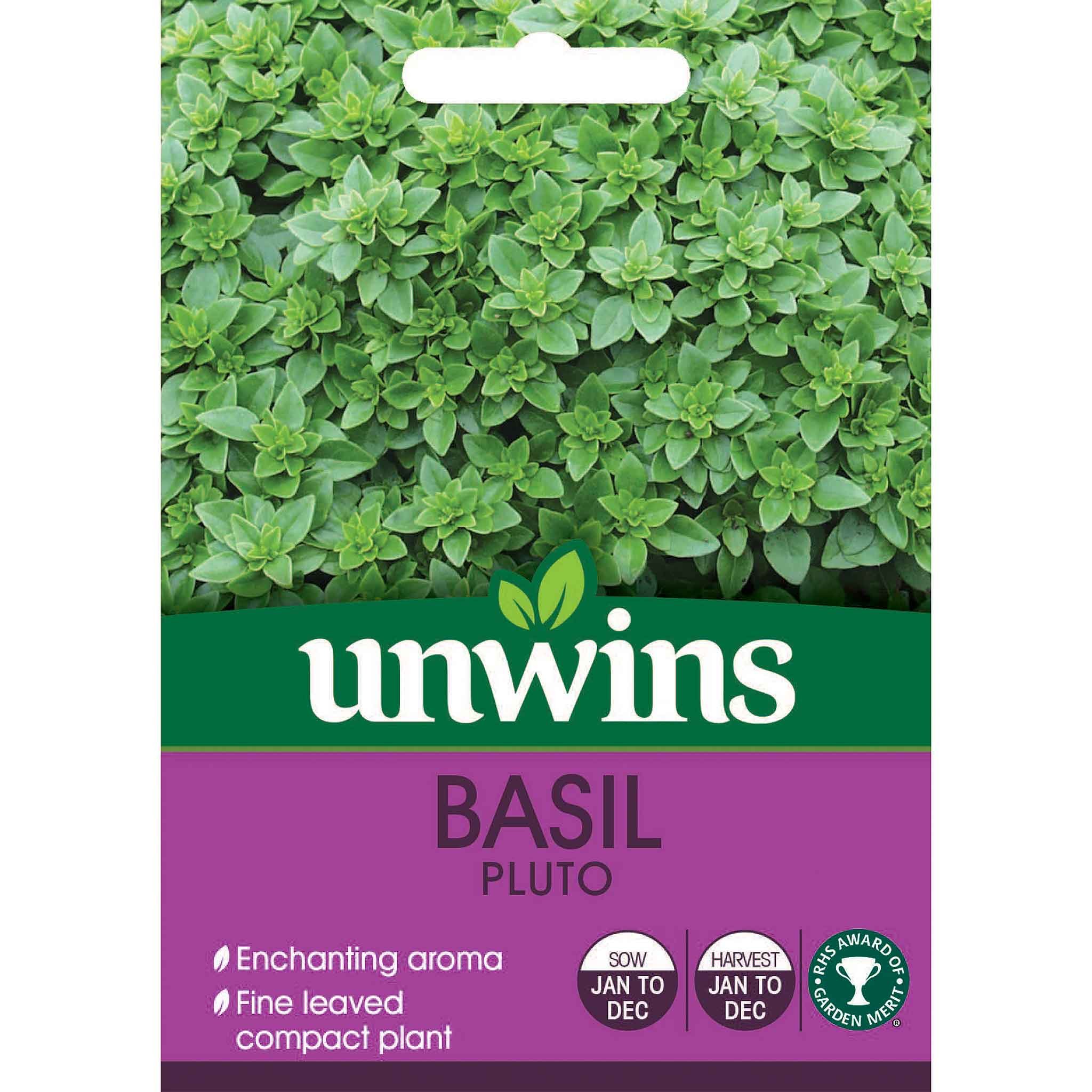 Marshalls Garden Basil Seeds 'Pluto' - 200 Seeds