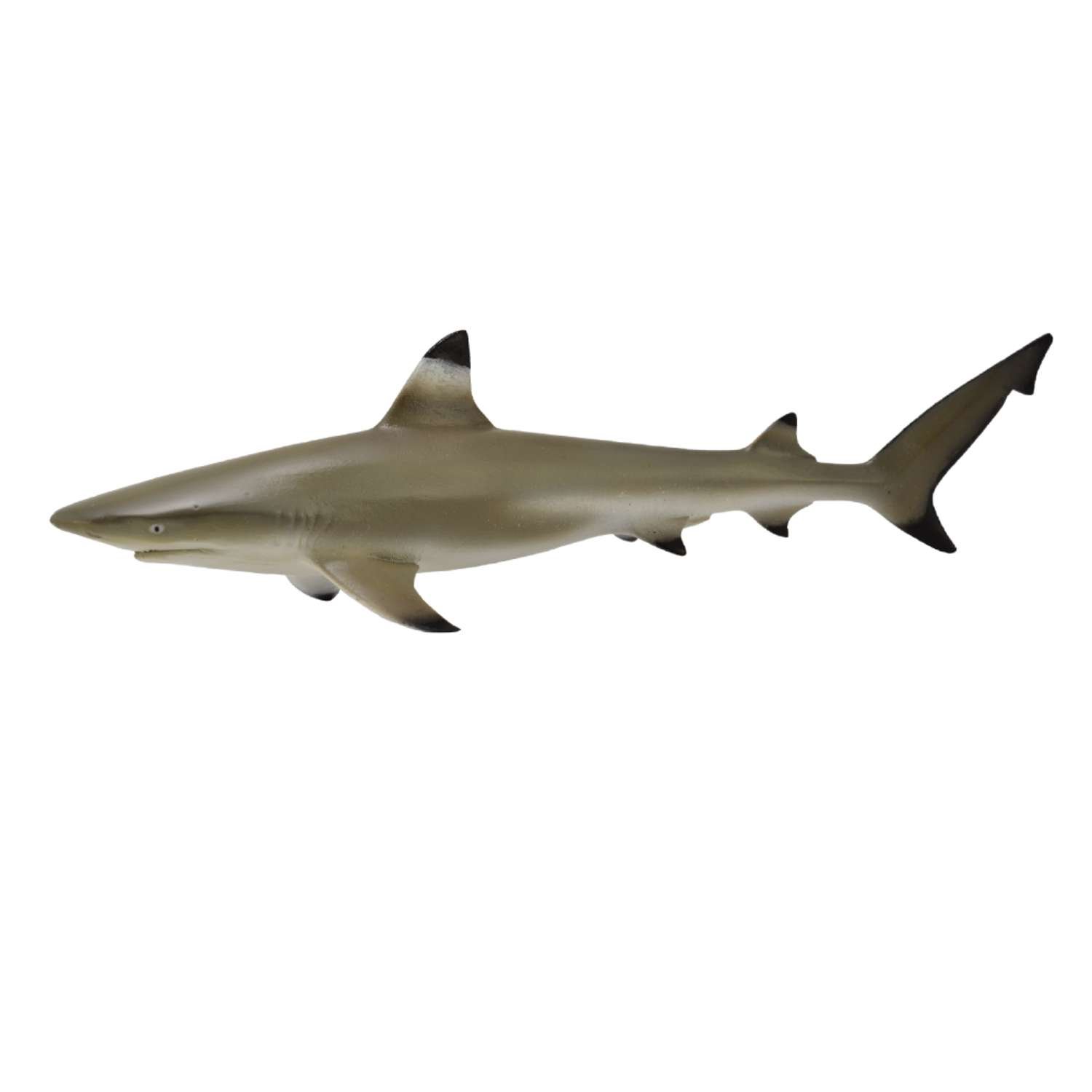 CollectA Blacktip Reef Shark - 3 Years +