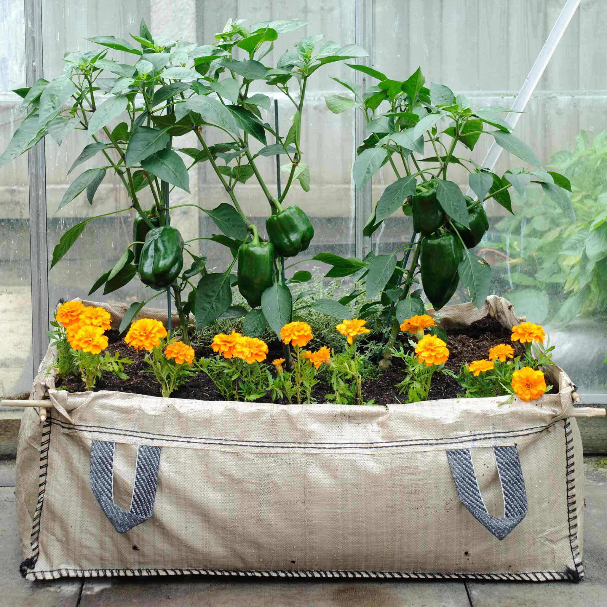 Marshalls Garden Patio & Greenhouse Grow Bed