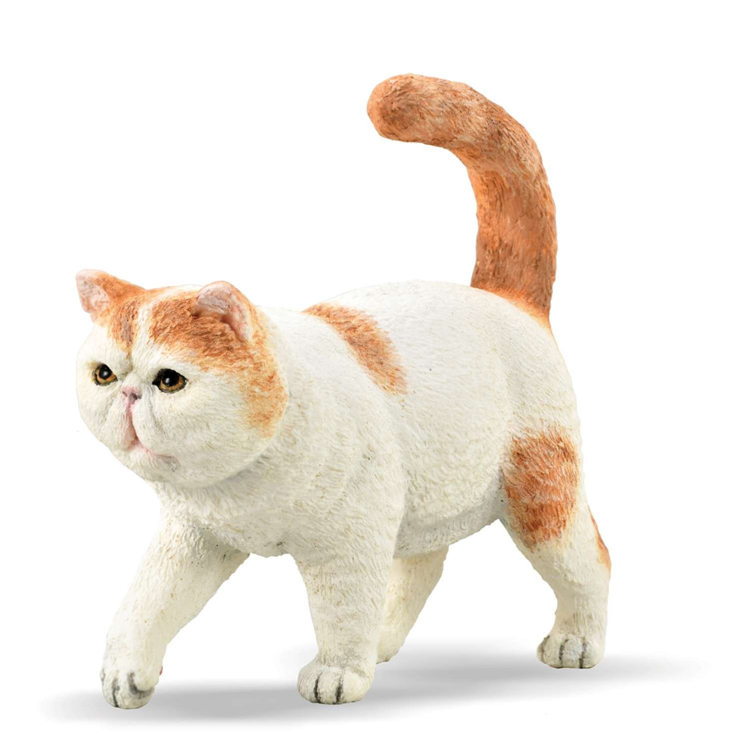 CollectA Exotic Shorthair - 3 Years +