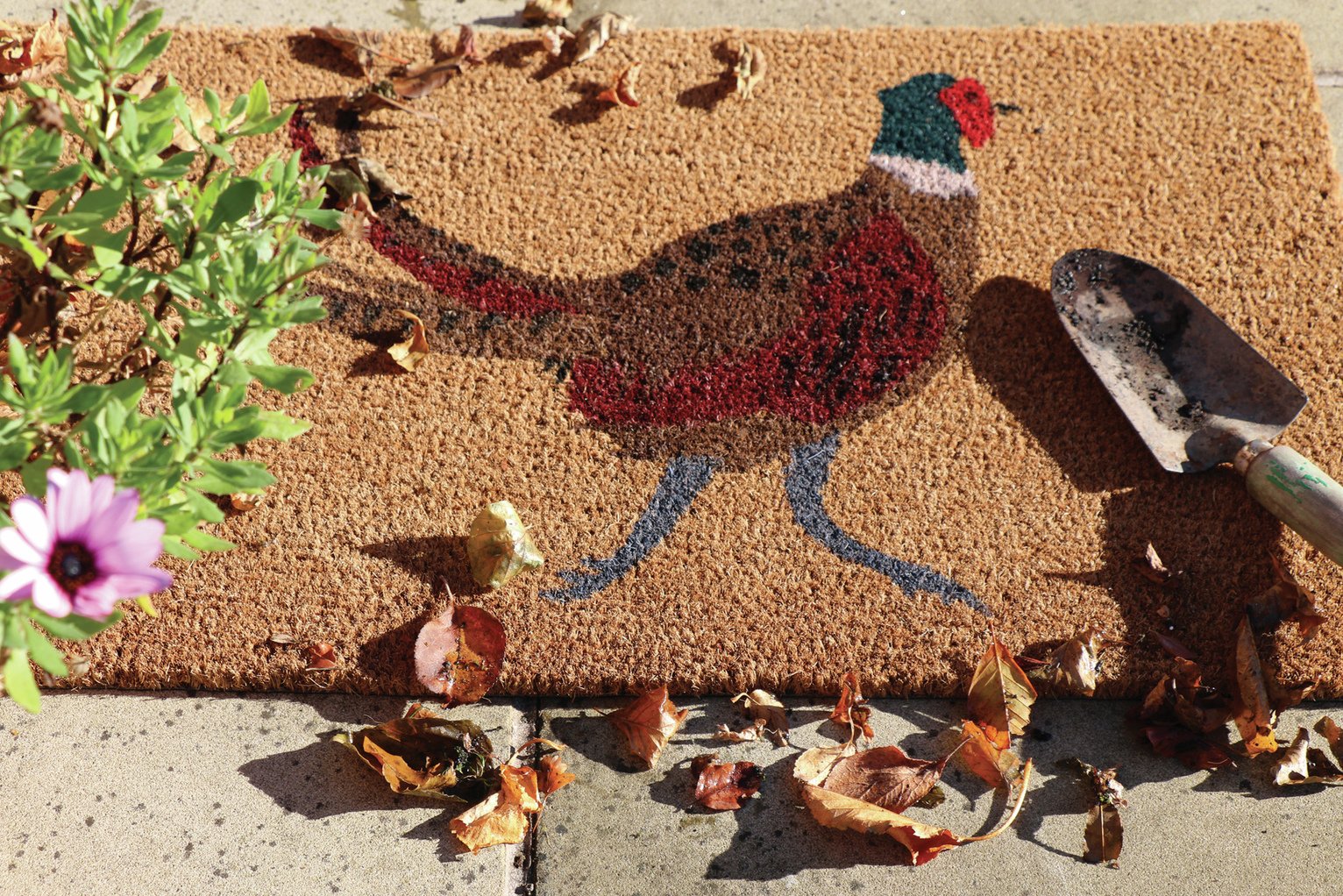My Mat Printed Coir Pheasant Grey Doormat - 45x75cm