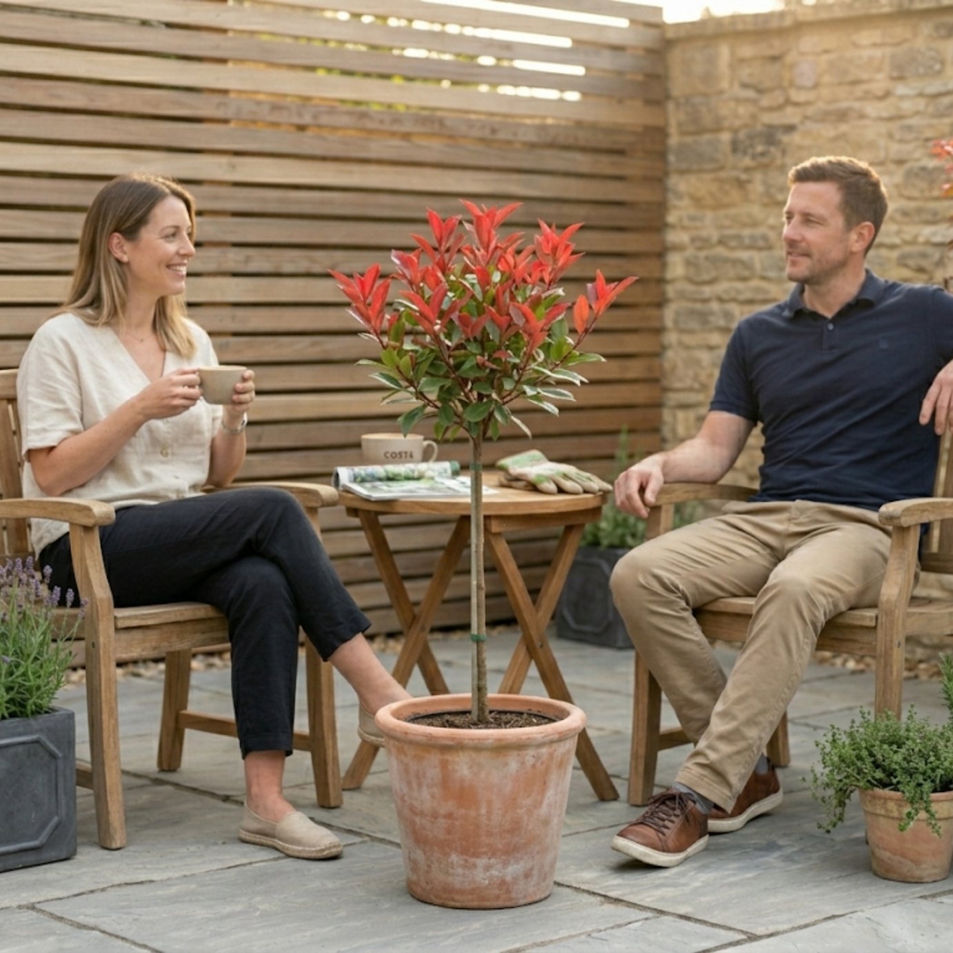 Accelopack Photinia Red Robin 2L Red Plant