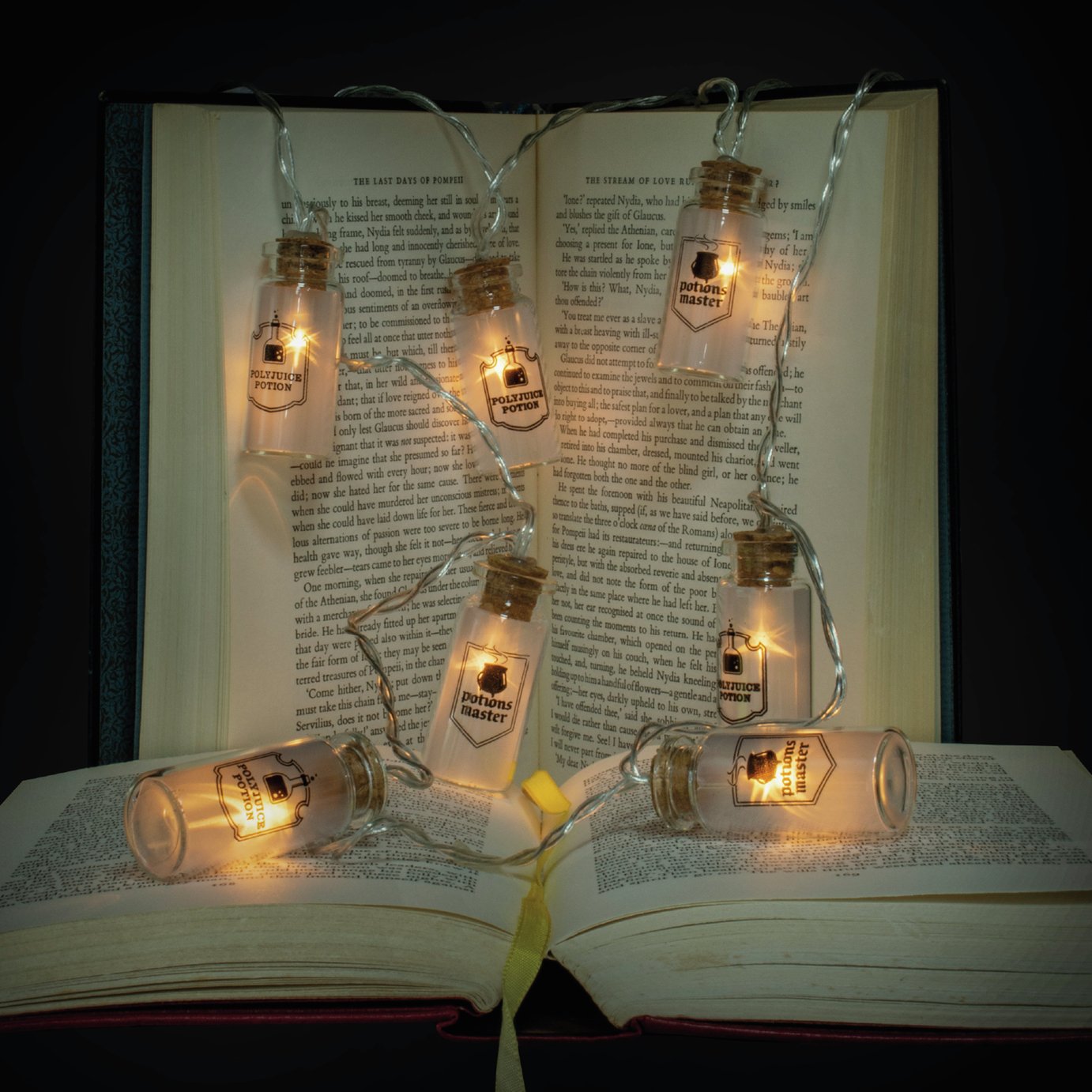 Warner Brothers Harry Potter Potion Bottle LED String Lights