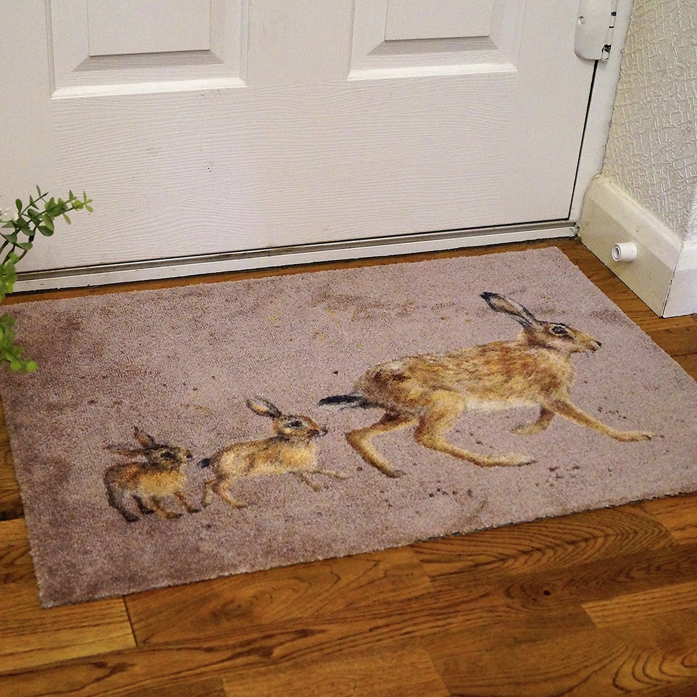 Bree Merryn Hare Line Brown Doormat - 50x75cm