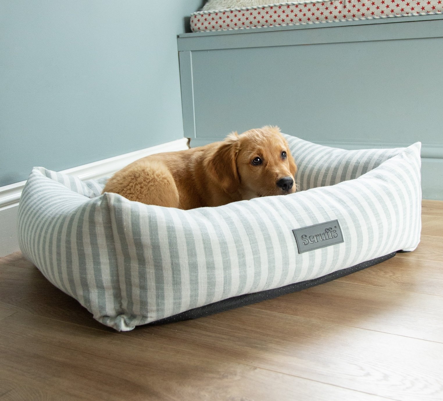 Scruffs Coastal Box Bed