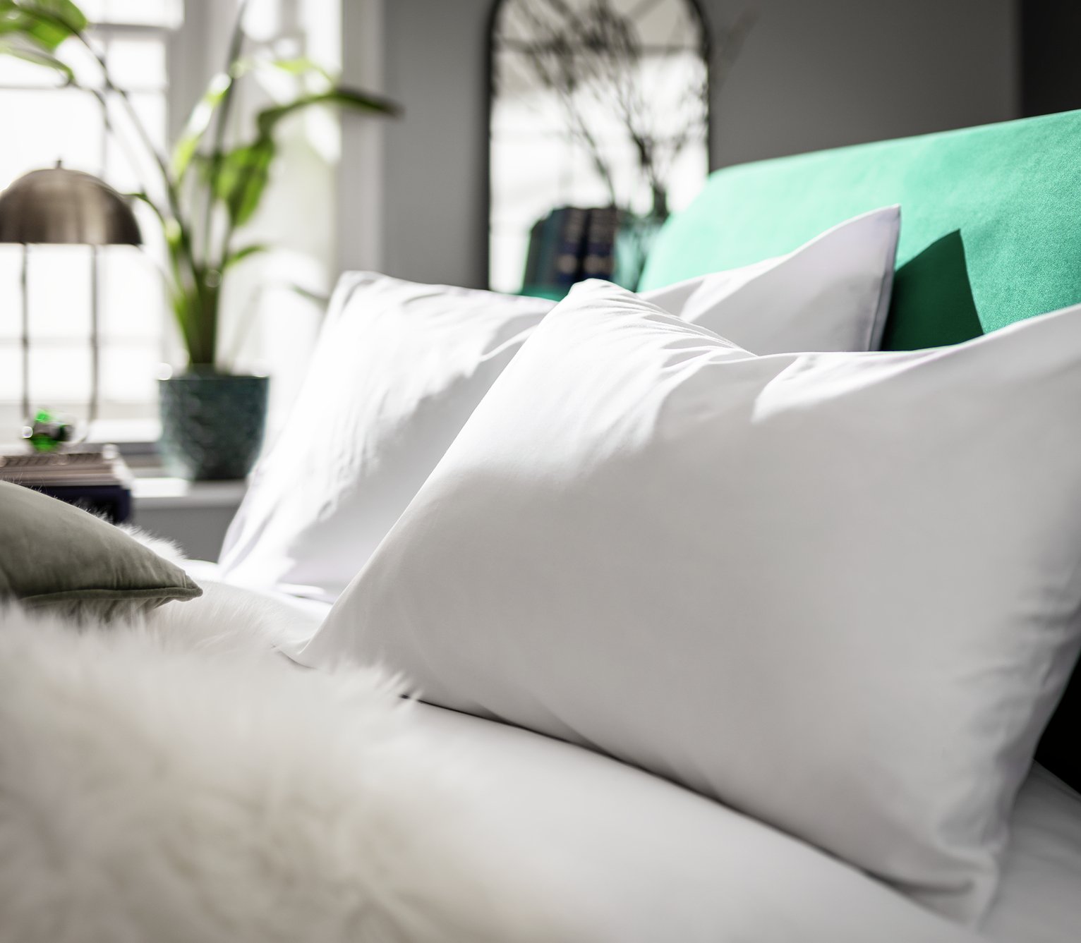 Habitat Egyptian Cotton Standard Pillowcase Pair