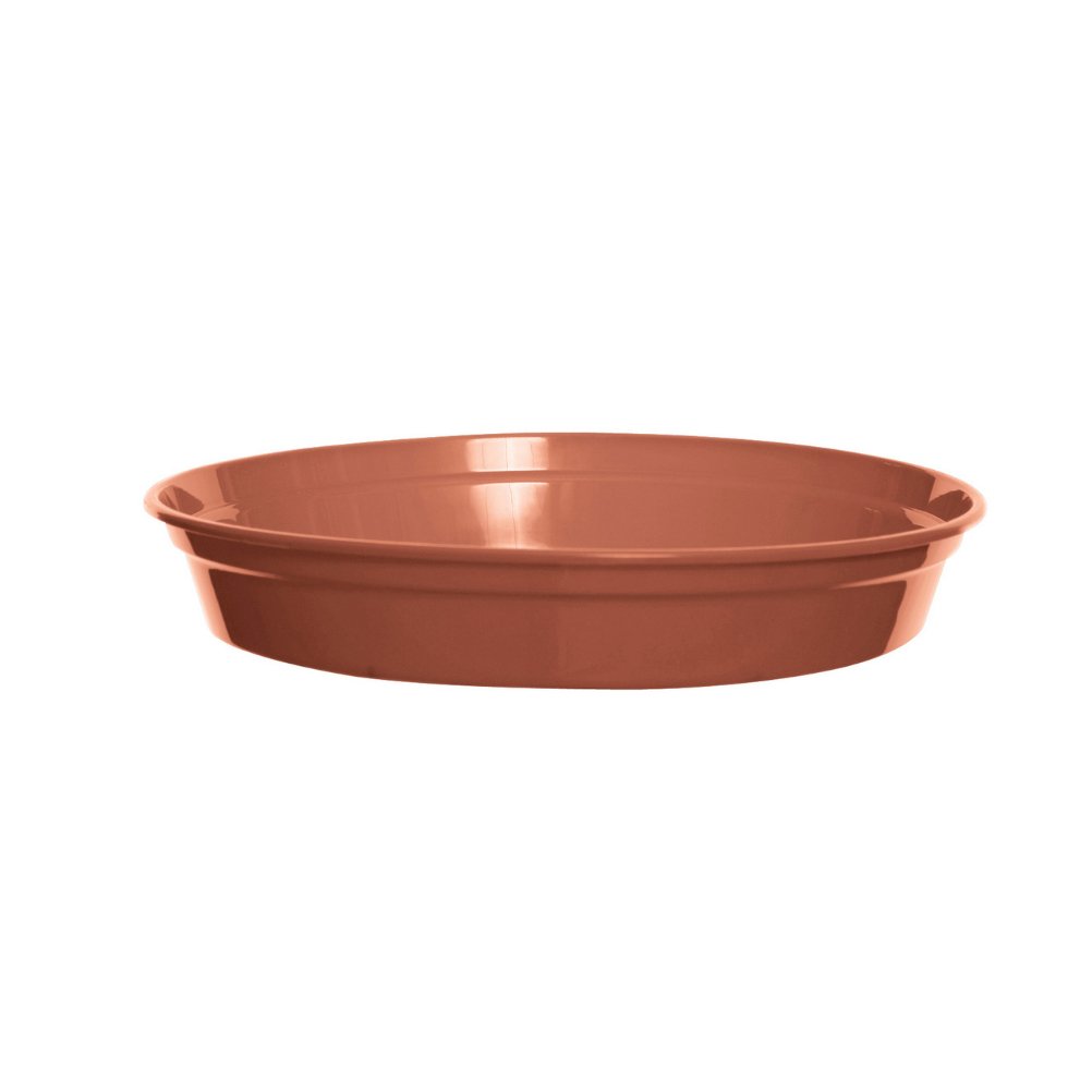 Whitefurze Saucer 7/8 inch Planter Pot - Terracotta