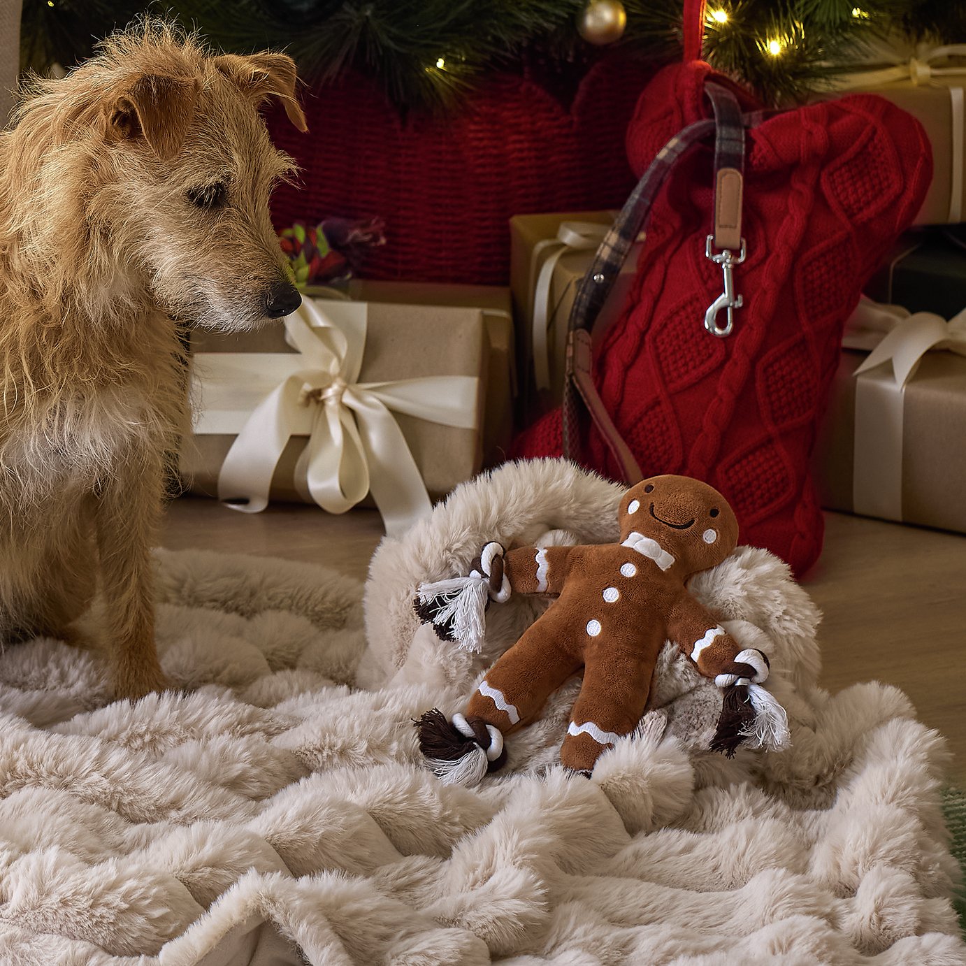 Argos Home Gingerbread Person Soft Dog Toy