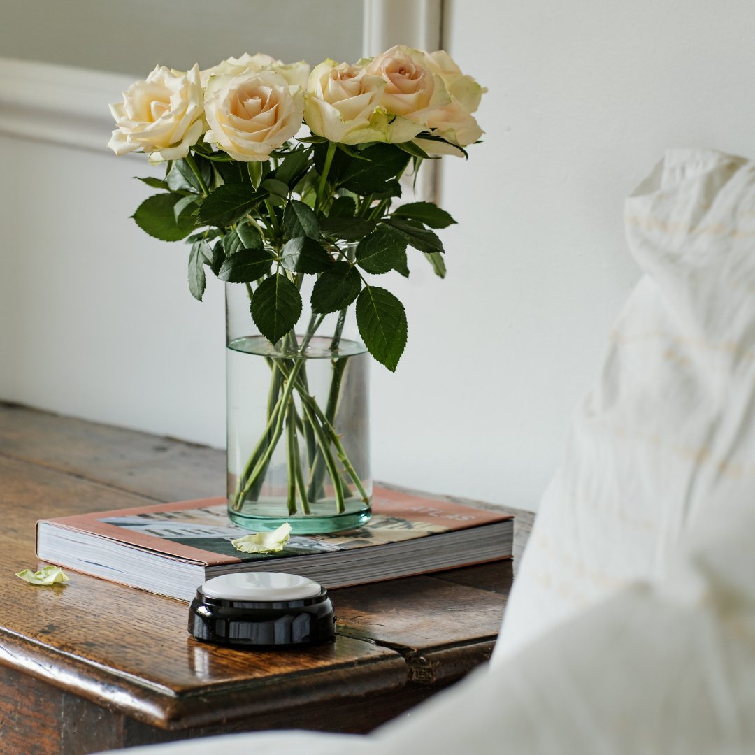 Ravencourt Living Talking Button Alarm  Clock