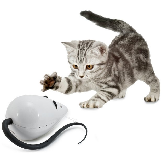 Automated hot sale cat toys