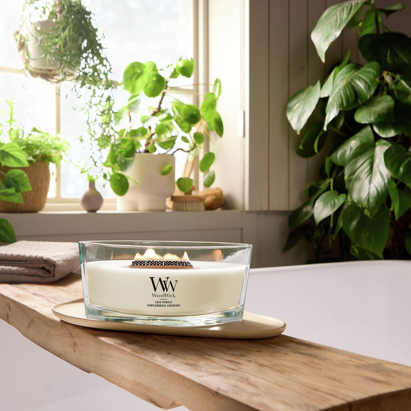 WoodWick Medium Ellipse Jar Candle - Lush Pomelo