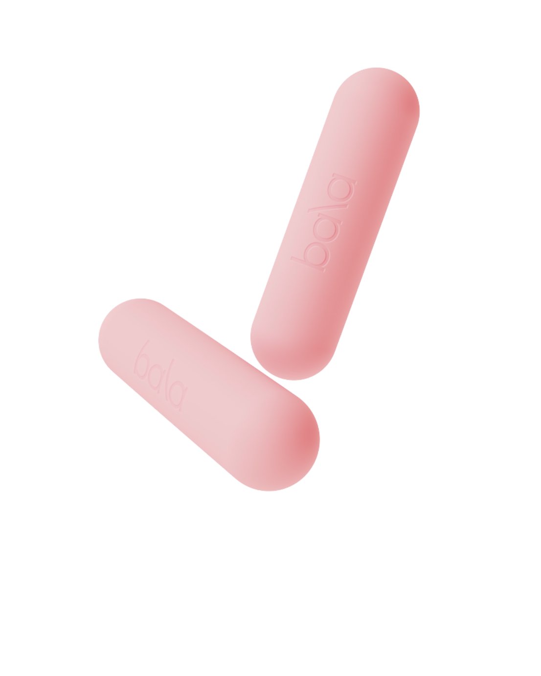 Bala Workout Bars - 2 x 1.36kg