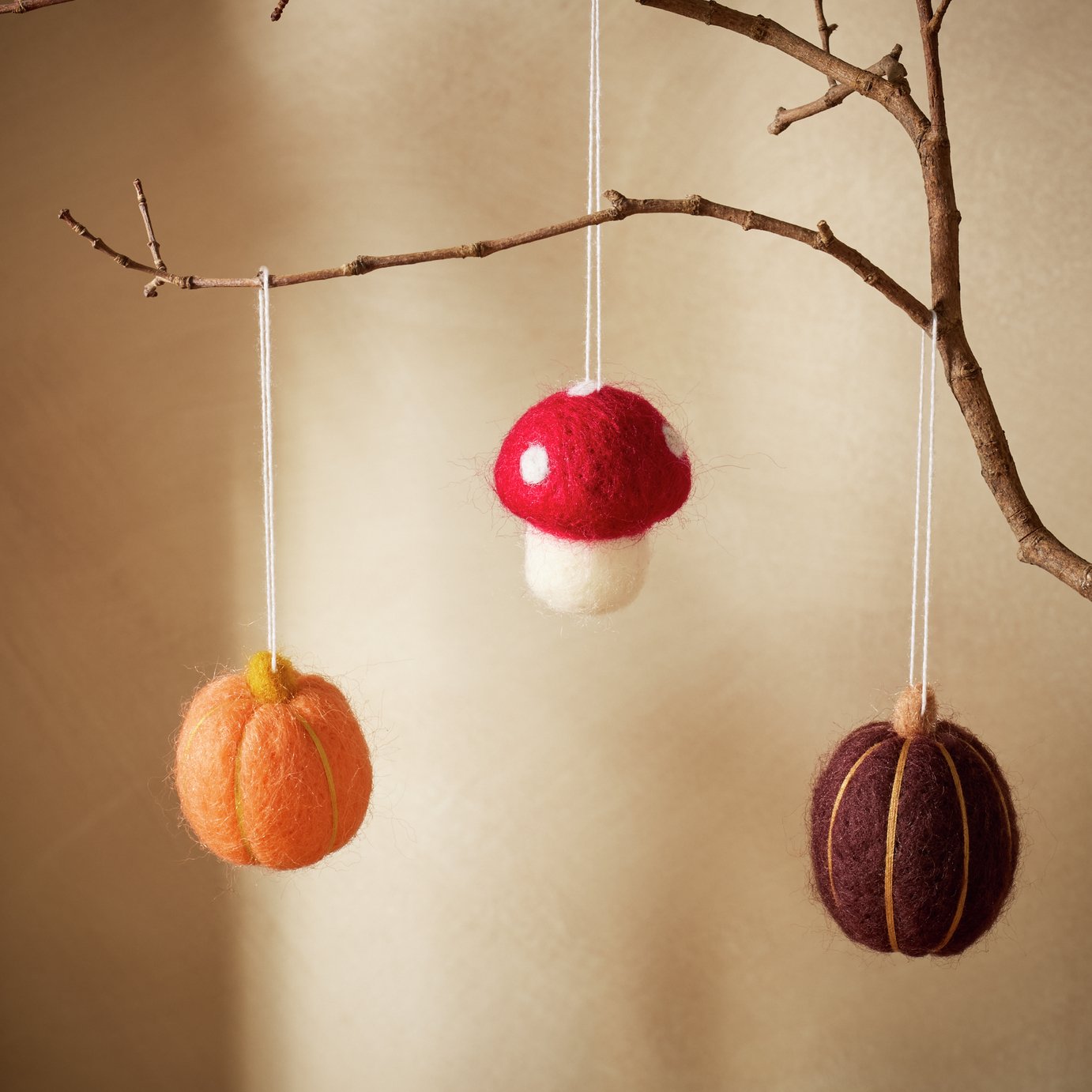 Argos Home Autumnal Felt Hanging Decoration - Pack of 3