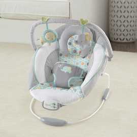 Ingenuity Morrison Soothing Baby Bouncer