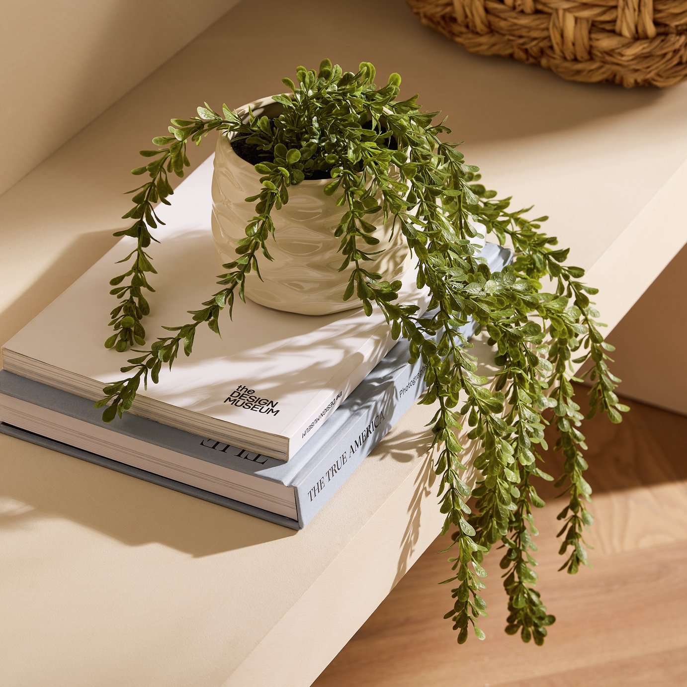 Bayswood Artificial Green Trailing Leaf in Ceramic Pot