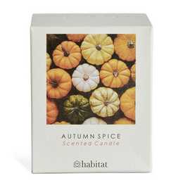 Habitat Scented Boxed Candle - Autumn Spice
