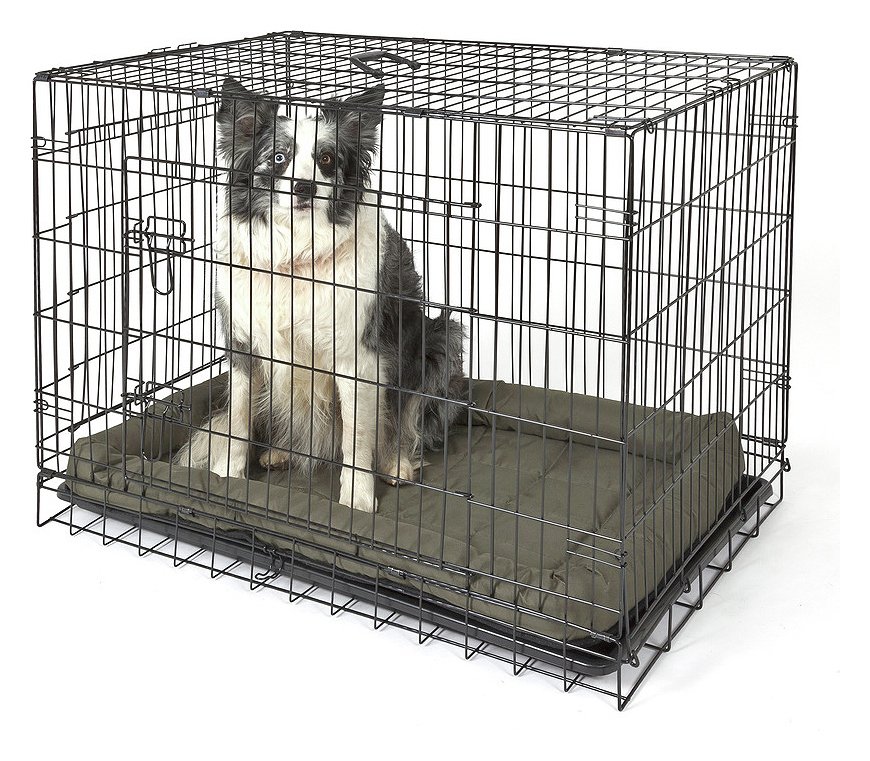 Double Door Dog Crate