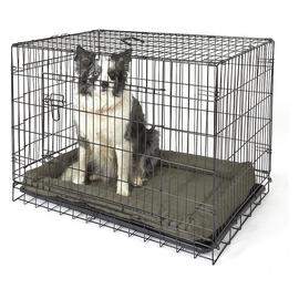 Buy Double Door Dog Crate Medium Dog crates and cages Argos