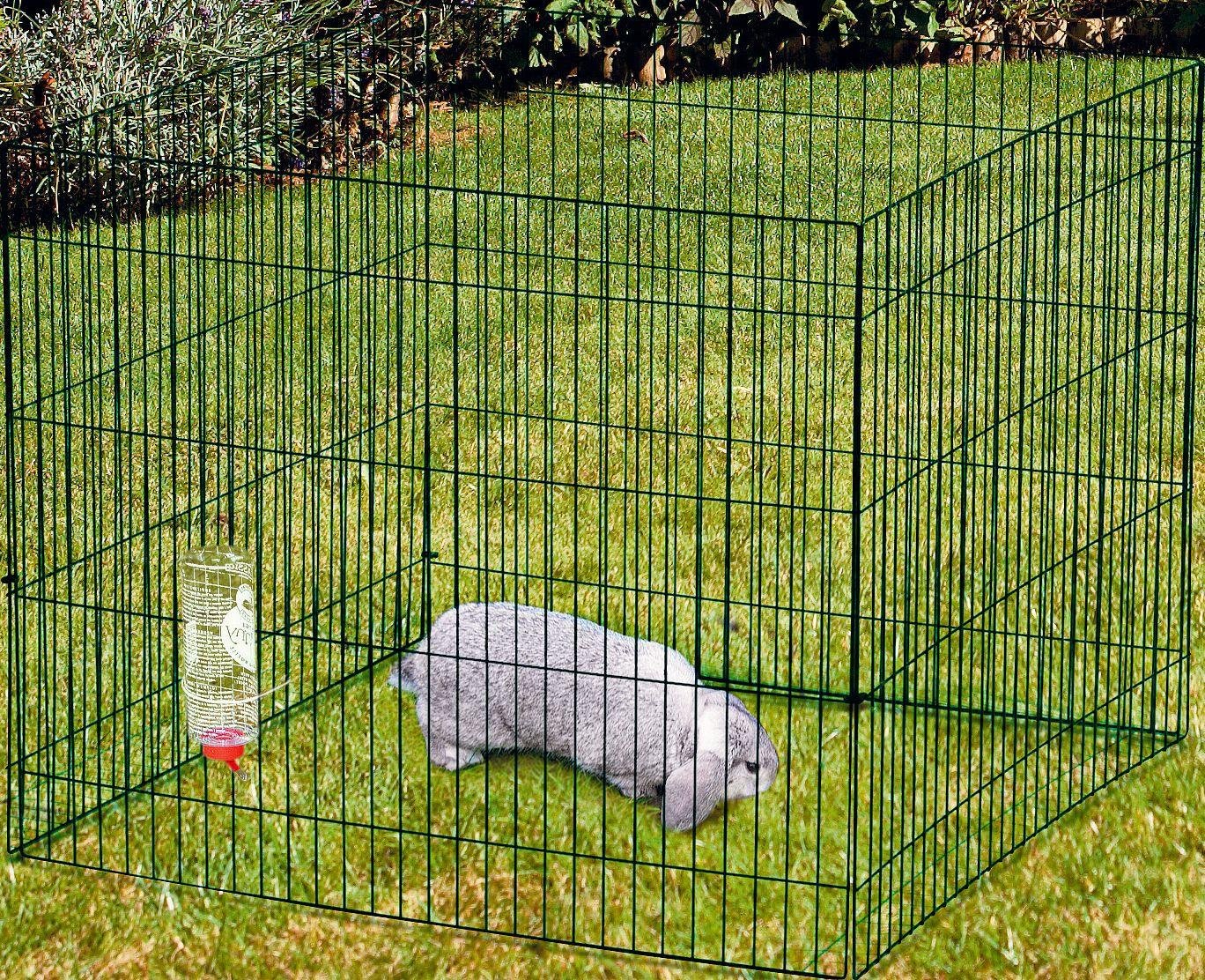 guinea pig cages argos