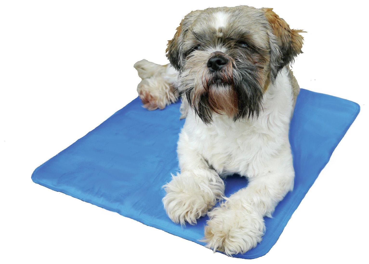 cold pad for dogs