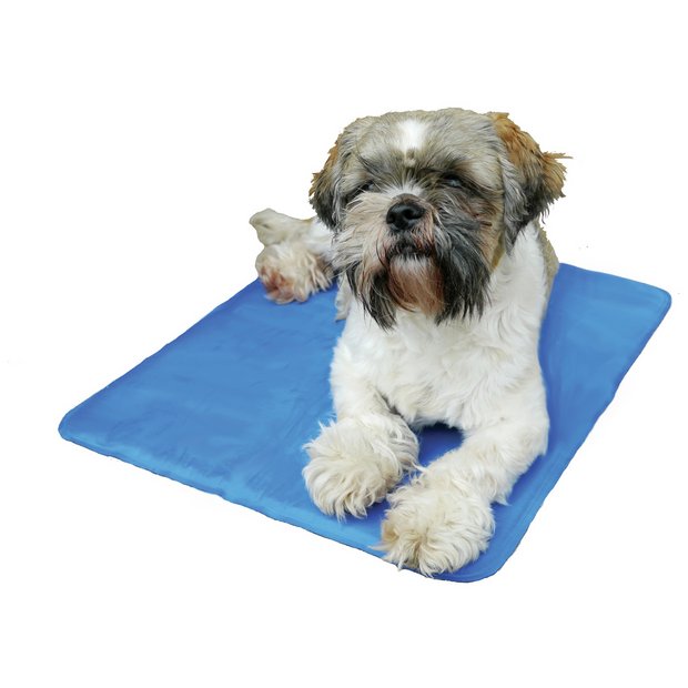 Argos best sale dog mattress