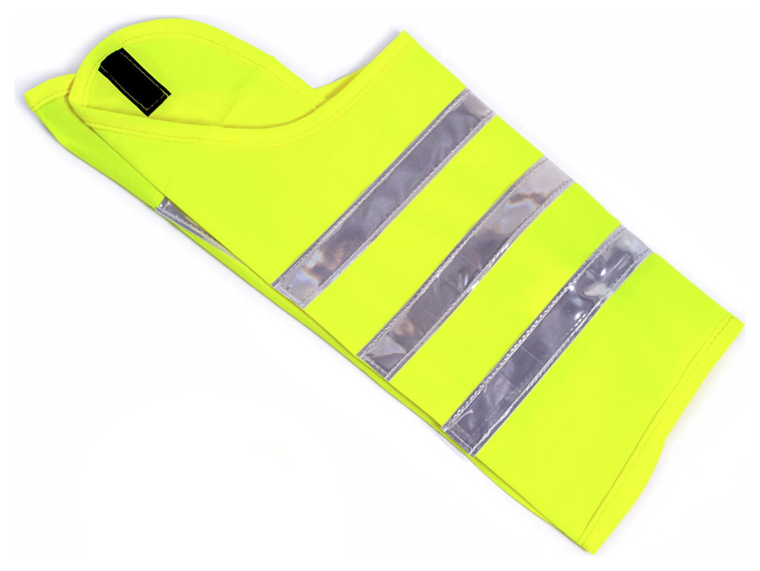 dog accessories argos
