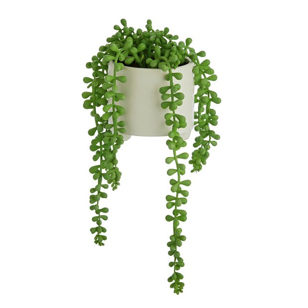 Buy Habitat Artificial Trailing House Plant in Ceramic Pot | Artificial flowers, plants and trees | Argos
