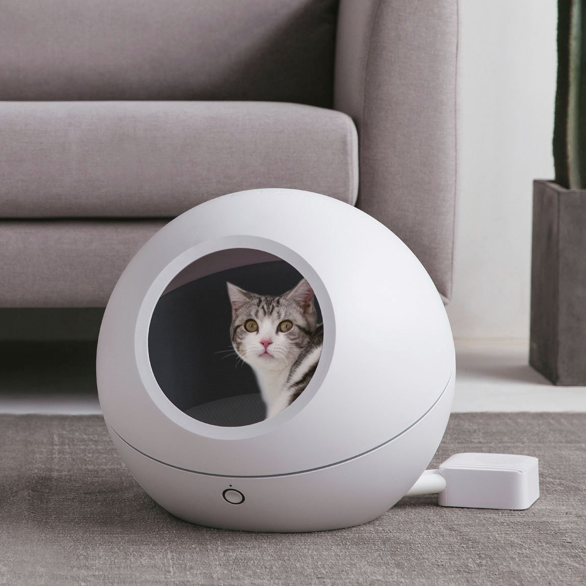 cat play tunnel argos