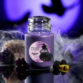 Yankee Candle Signature Large Jar Candle - Amethyst Moon