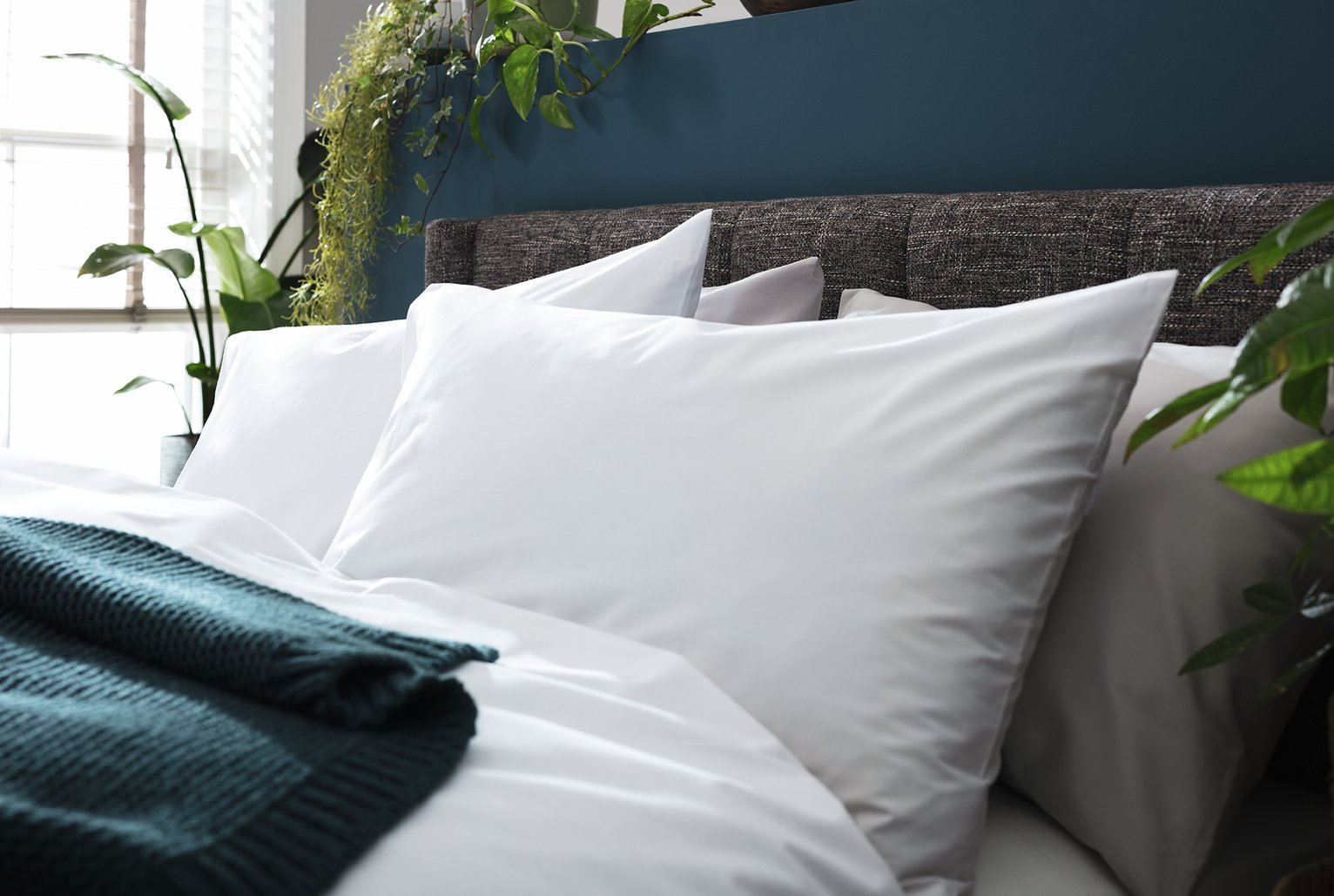 Habitat Cotton Lyocell Standard Pillowcase Pair