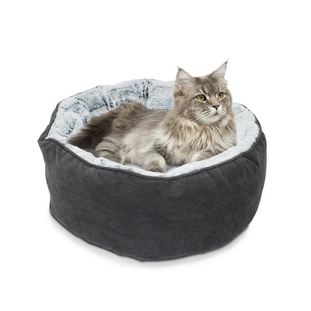 Cat bed cost best sale