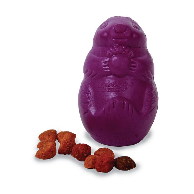 Squirrel dude dog hot sale toy