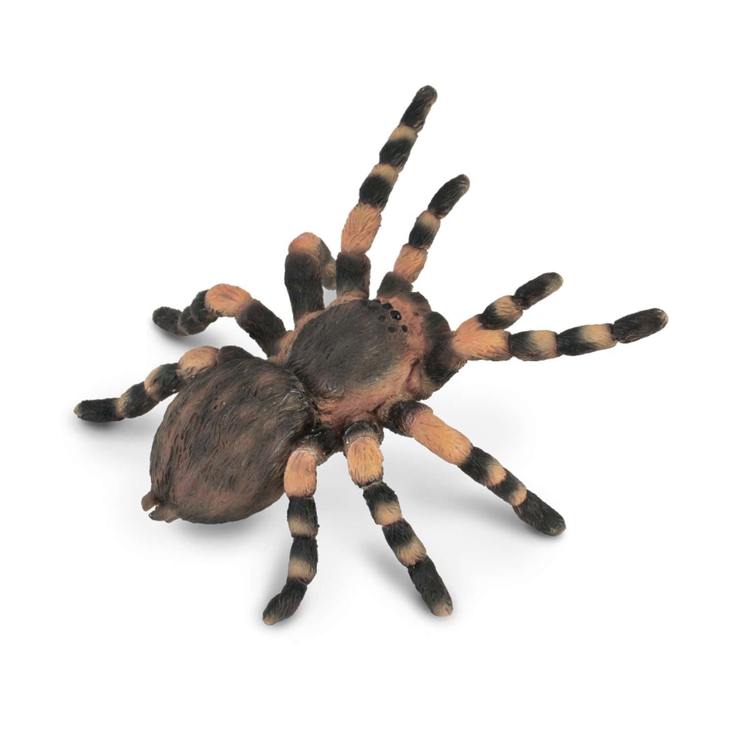 CollectA Mexican Redknee Tarantula - 3 Years +