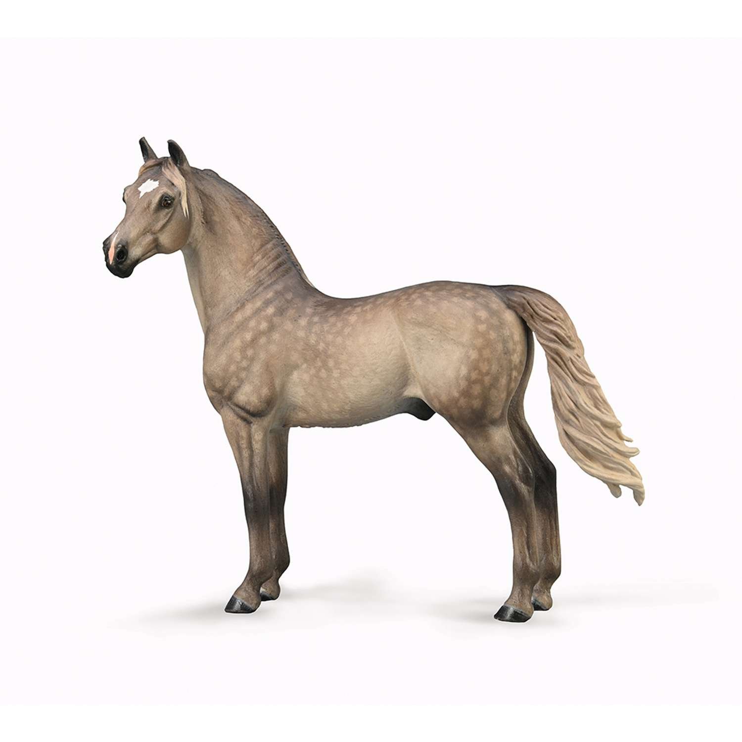 CollectA Morgan Stallion - Silver Grulla - 3 Years +