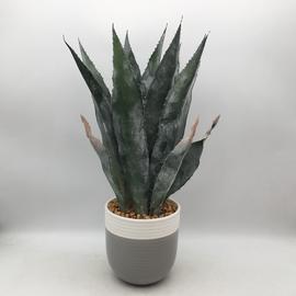 Habitat Artificial Aloe in Ceramic Pot