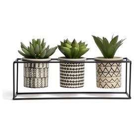 Habitat Faux Patterned Succulents in Stand - Set of 3