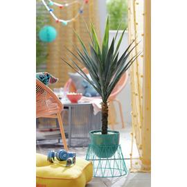Artificial trees and plants Artificial flowers plants and trees