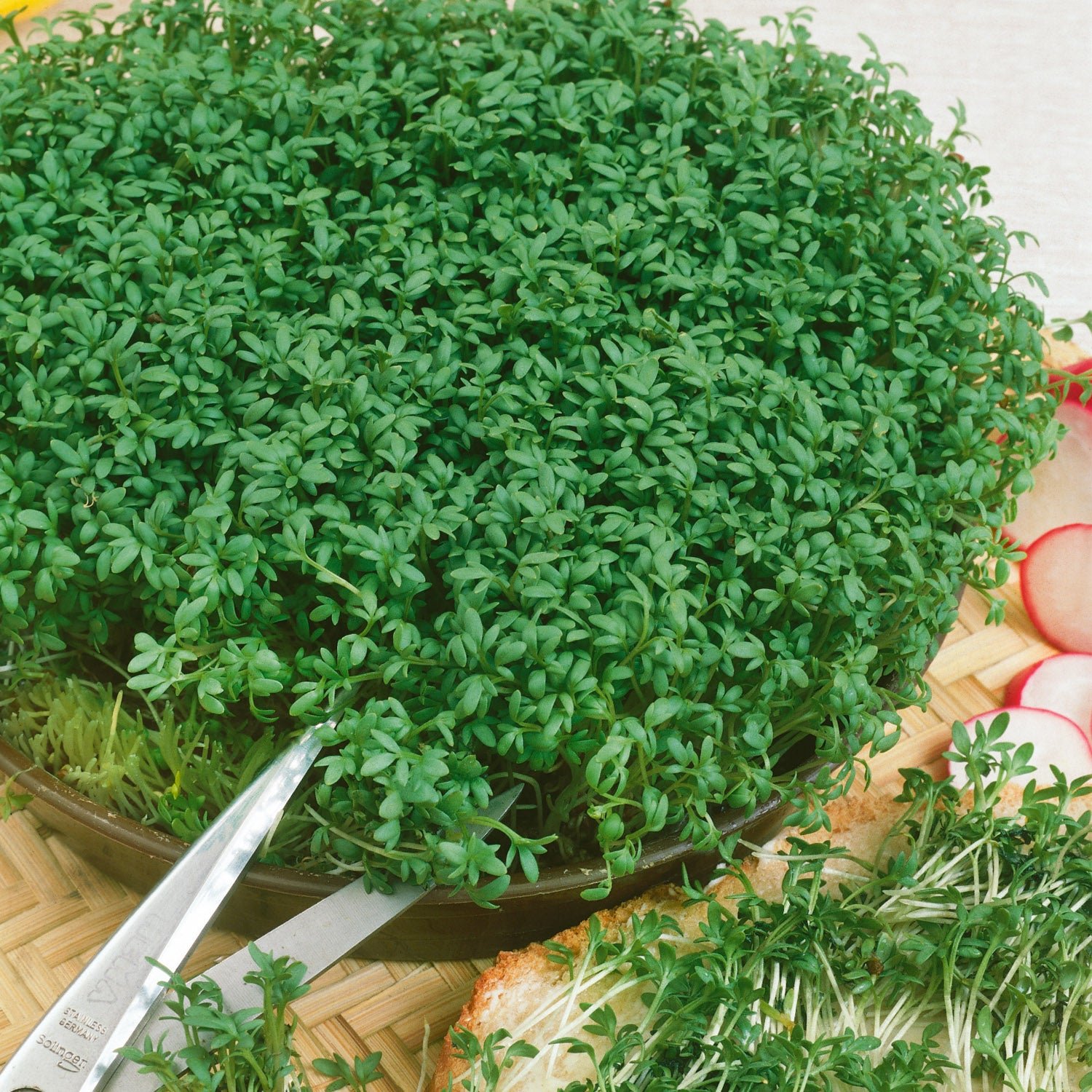 Unwins Cress Seeds 'Extra Curled Organic' - 4250 Seeds