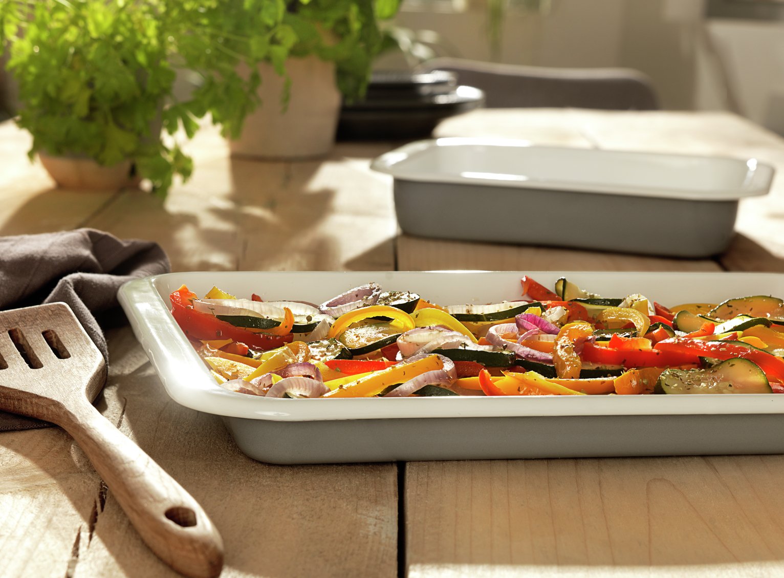 Habitat Set of 2 Enamel Oven Tray Roaster Set