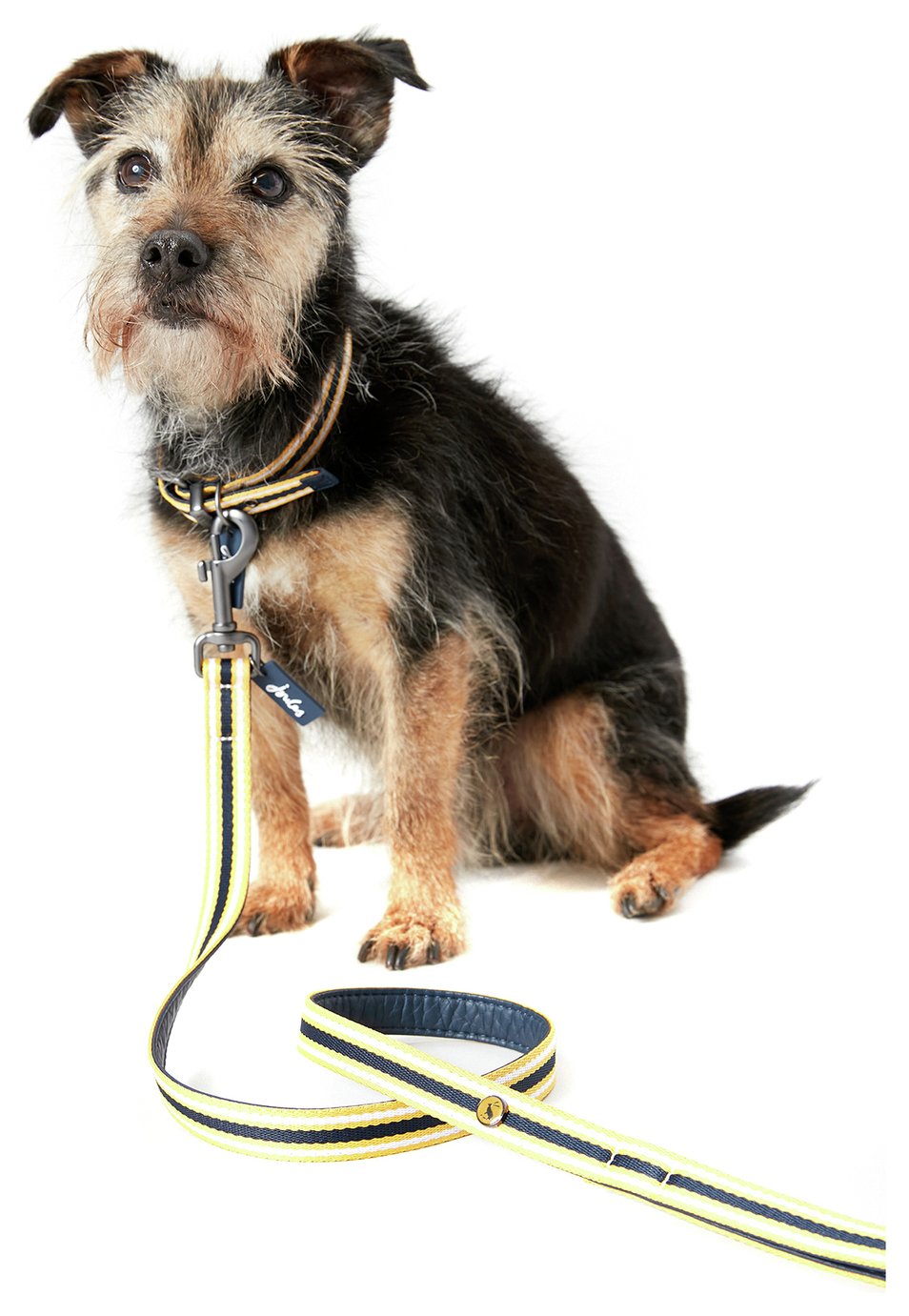 Results For Inflatable Dog Collar