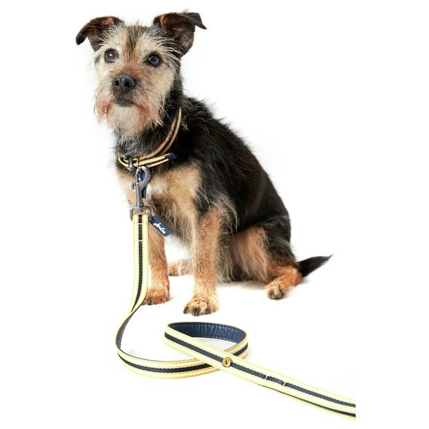 Argos Dog Harness