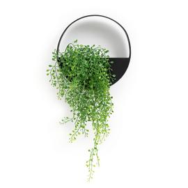 Results for hanging pots