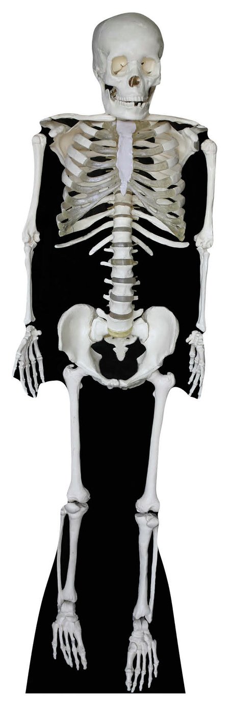 Star Cutouts Skeleton Cardboard Cutout